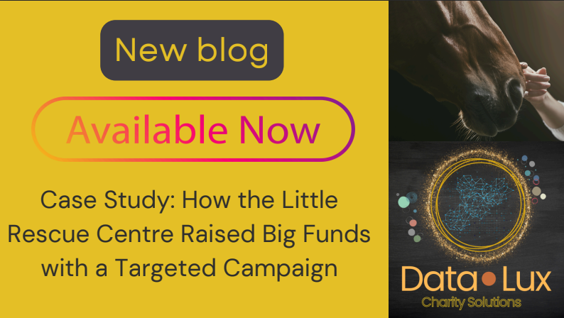 Case Study: How the Little Rescue Centre Raised Big Funds with a Targeted Campaign - Data Lux Charity Solutions