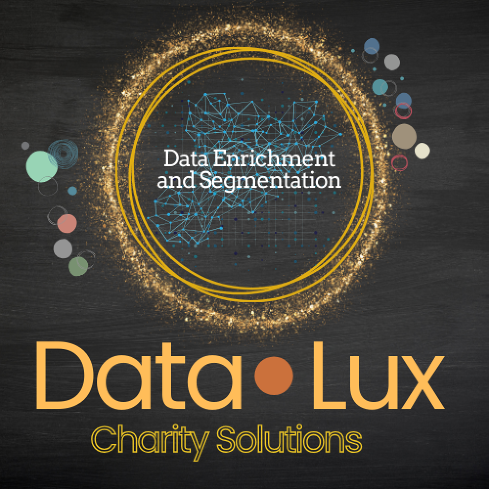 Data Enrichment and Segmentation